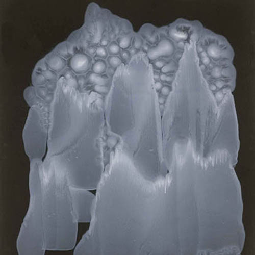 Il Bacio ed altre strade per le stelle, 2008