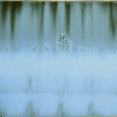 Nascere - 2009