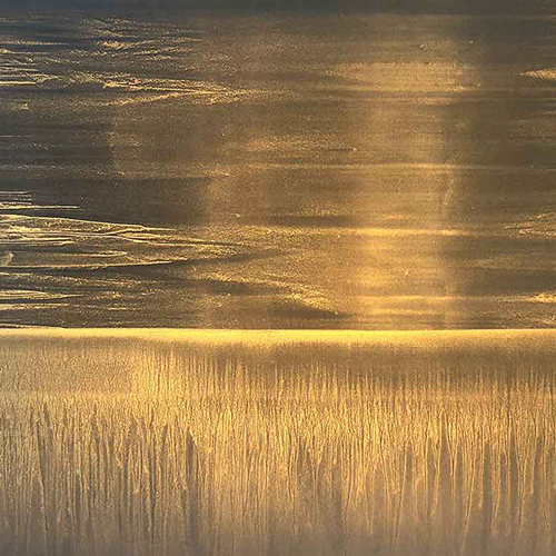 Gold and Black - 2018