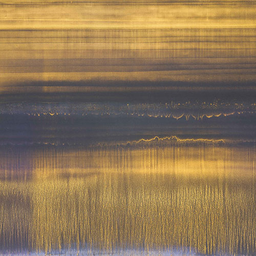 The Unthought-of in Reason - 2019